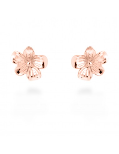 PTES.LUXENTER PLATA ROSA