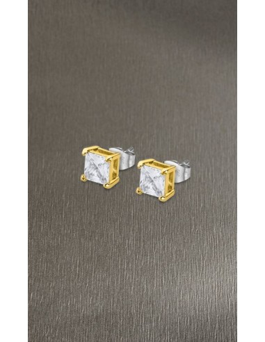 LOTUS STYLE PENDIENTES