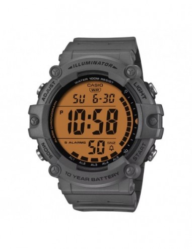 RELOJ CASIO